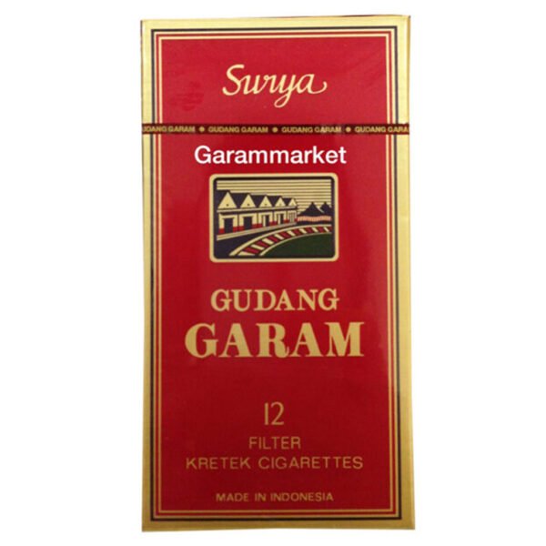 Gudang Garam 12